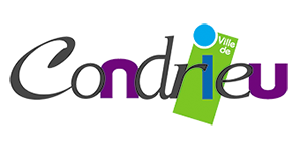 Adjoint technique