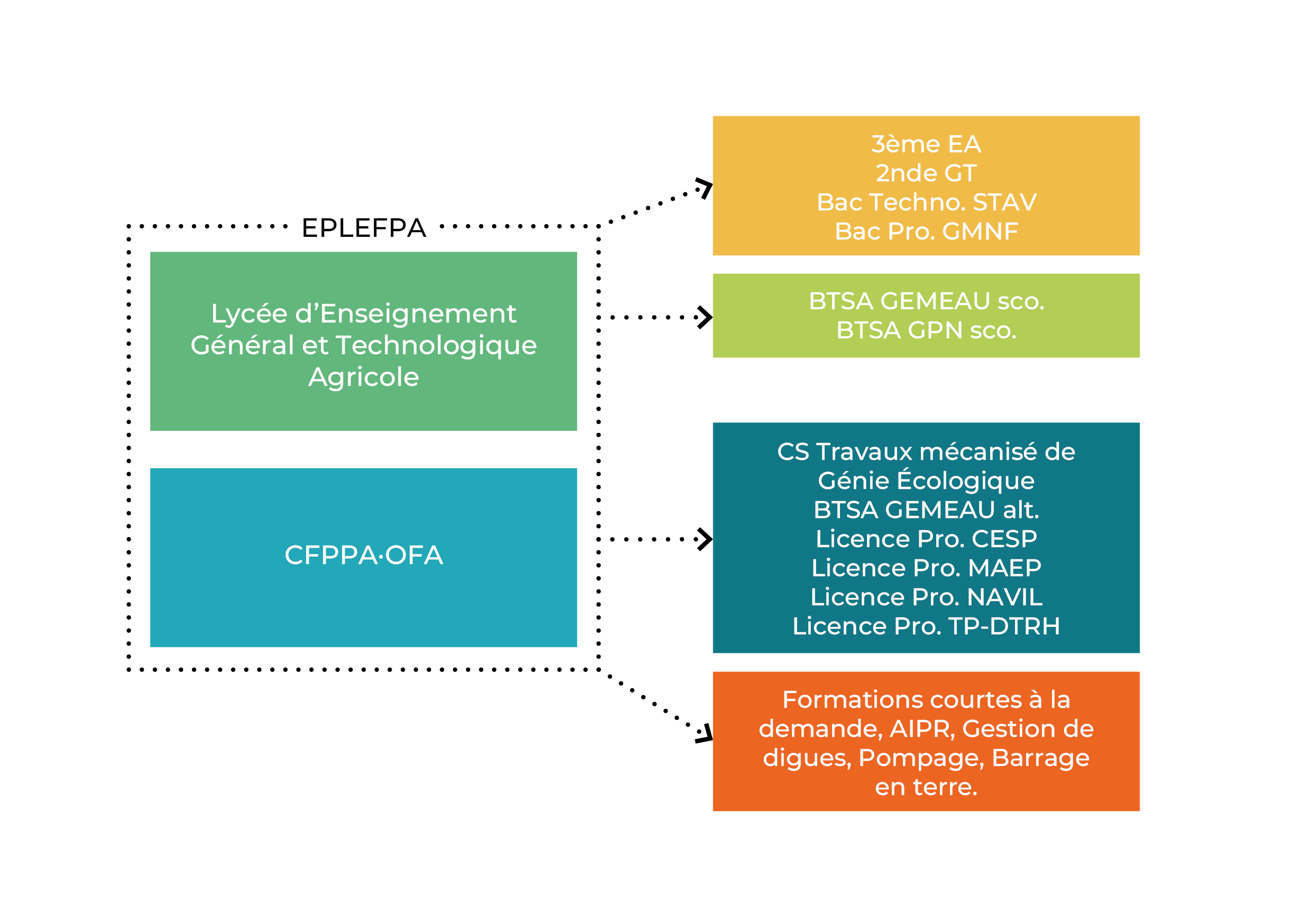 Agrotec Organigramme de l'EPLEFPA et du CFPPA-OFA