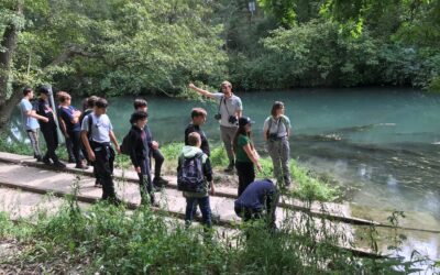 Projet Biodiversité du Rhône