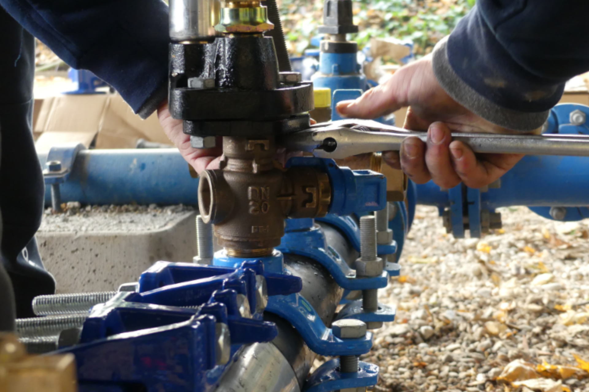 BTSA GEMEAU scolaire