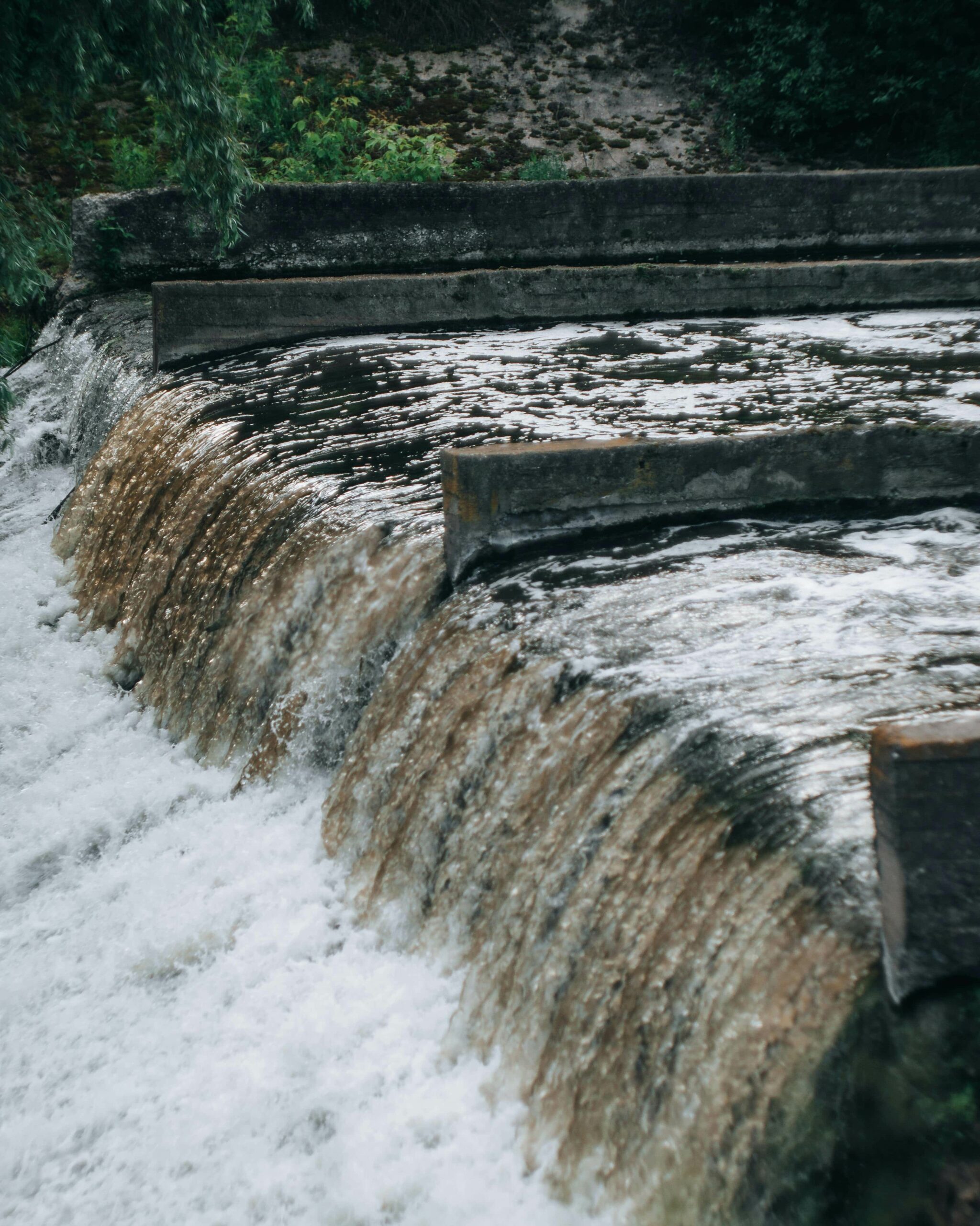 BTSA GEMEAU scolaire